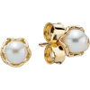 PANDORA 14ct Gold Pearl Studs Cherry Blossom PANDORA 14ct Gold Pearl Studs Cherry Blossom