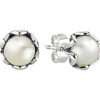 PANDORA Cultured Elegance Pearl Stud Earrings PANDORA Cultured Elegance Pearl Stud Earrings