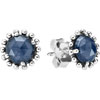 PANDORA Shining Midnight Stud Earrings PANDORA Shining Midnight Stud Earrings