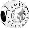 PANDORA Familly Forever Charm PANDORA Familly Forever Charm