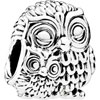 PANDORA Charming Owl Charm PANDORA Charming Owl Charm