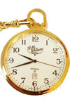 Fob Watch and Chain Gold Colour Fob Watch and Chain Gold Colour